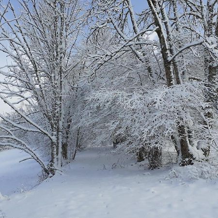 La Belle Vue Daire Saint-Claude Dış mekan fotoğraf