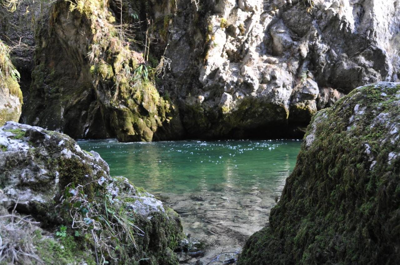 La Belle Vue Daire Saint-Claude Dış mekan fotoğraf